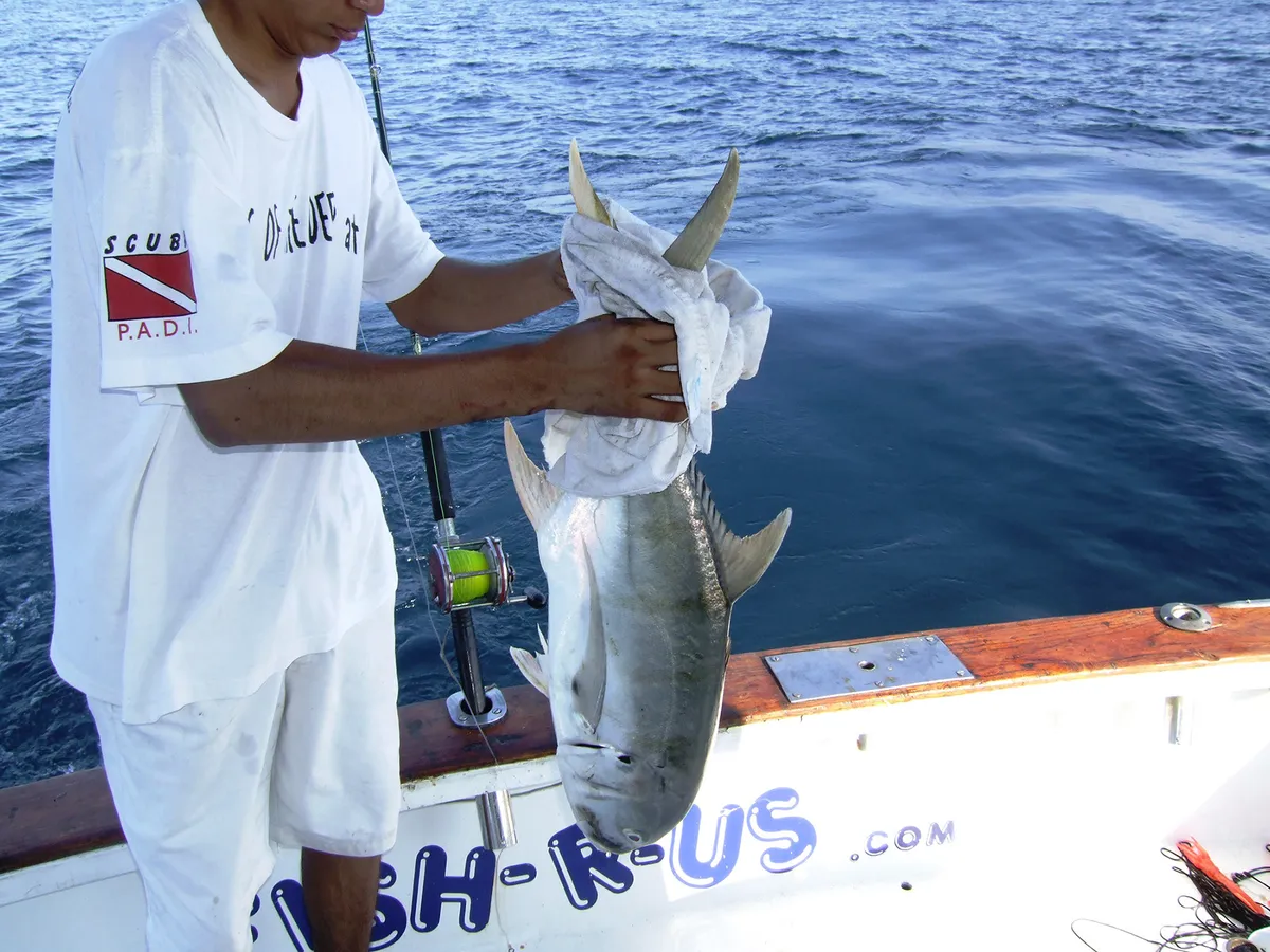 Pesca Costera (Light Tackle Fishing)